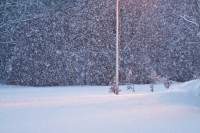 Snow–> Rain?