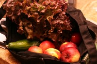 CSA Delight IMG_8481