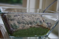 Dirrty Green Monster Oats IMG_2360