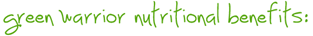 benefits   Green Warrior Protein Smoothie